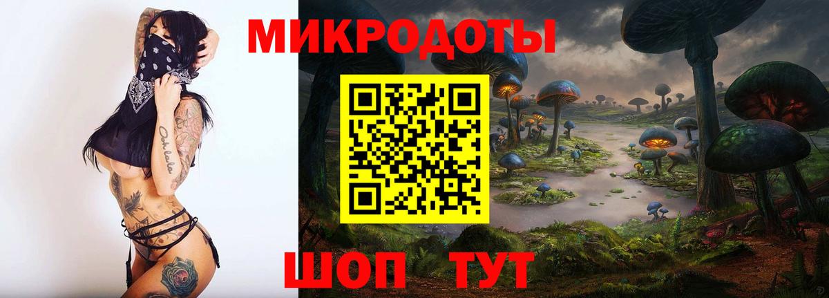 Псилоцибиновые грибы Psilocybine cubensis  Вход с VPN  Сунжа 